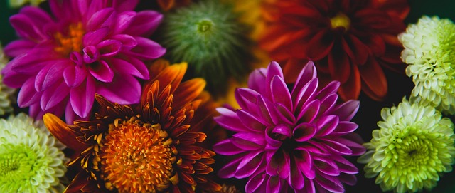 官方：格雷米奥主帅梅内塞斯下课