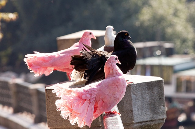 埃梅里神了：大黑马疯狂6连胜，超越切尔西，升到第3