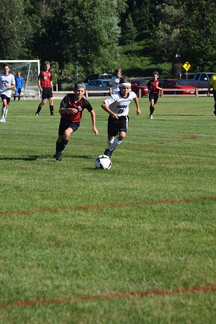 面的成熟 面的成熟