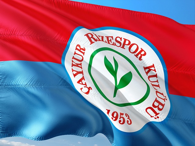 与何家六姐 与何家六姐