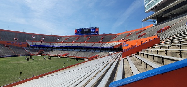 球员地位的 球员地位的