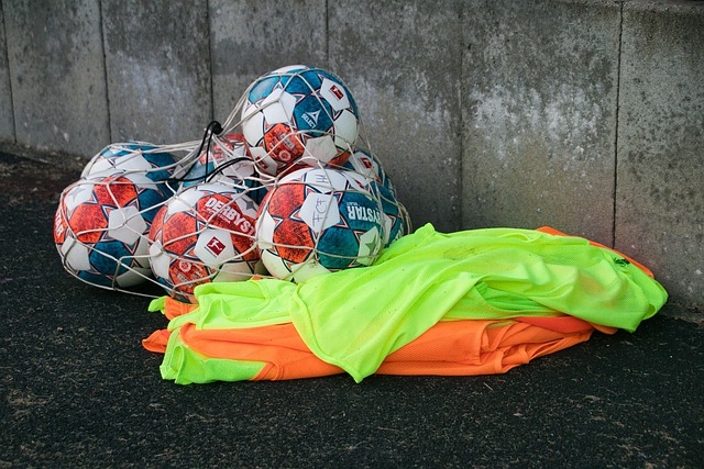 纳提出了犀 纳提出了犀